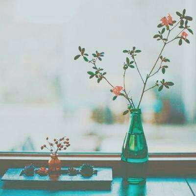 星空体育APP手机app下载截图