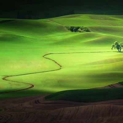 5848vip威尼斯电子游戏app下载