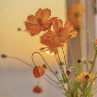 PG·麻将胡了app下载