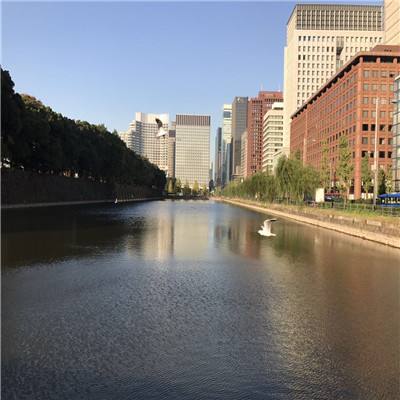 Kaiyun·开云体育app下载