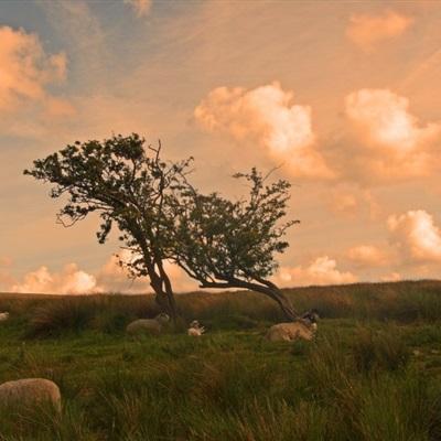 M6米乐APP下载截图