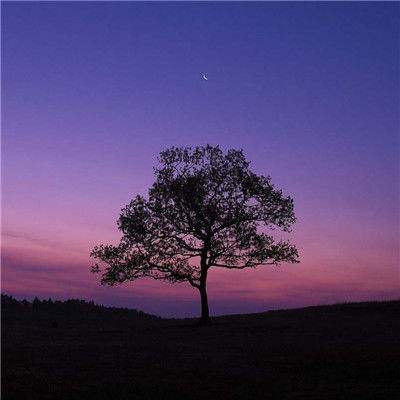 大发黄金版888下载手机app下载