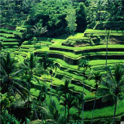 一分赛车app下载官方